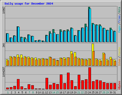 Daily usage for December 2024
