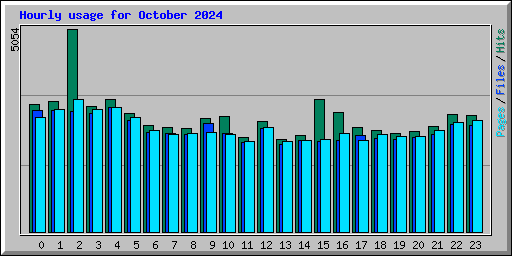 Hourly usage for October 2024