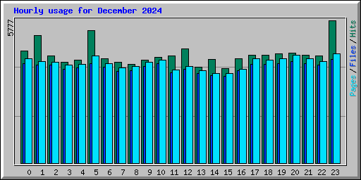 Hourly usage for December 2024