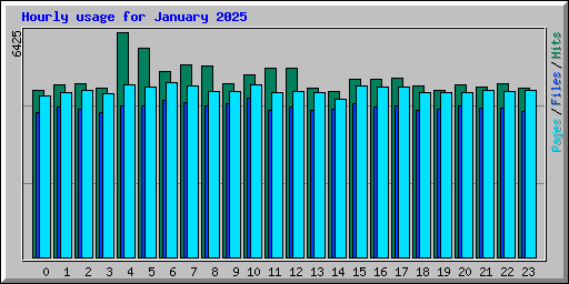 Hourly usage for January 2025