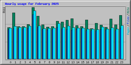 Hourly usage for February 2025