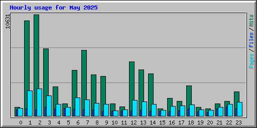 Hourly usage for May 2025