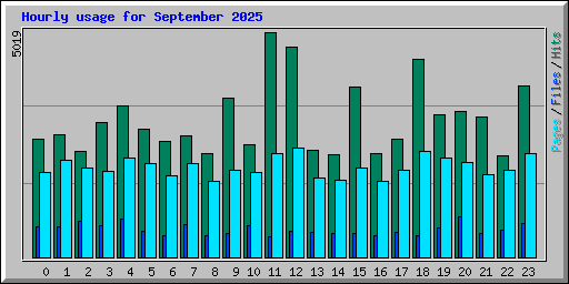 Hourly usage for September 2025